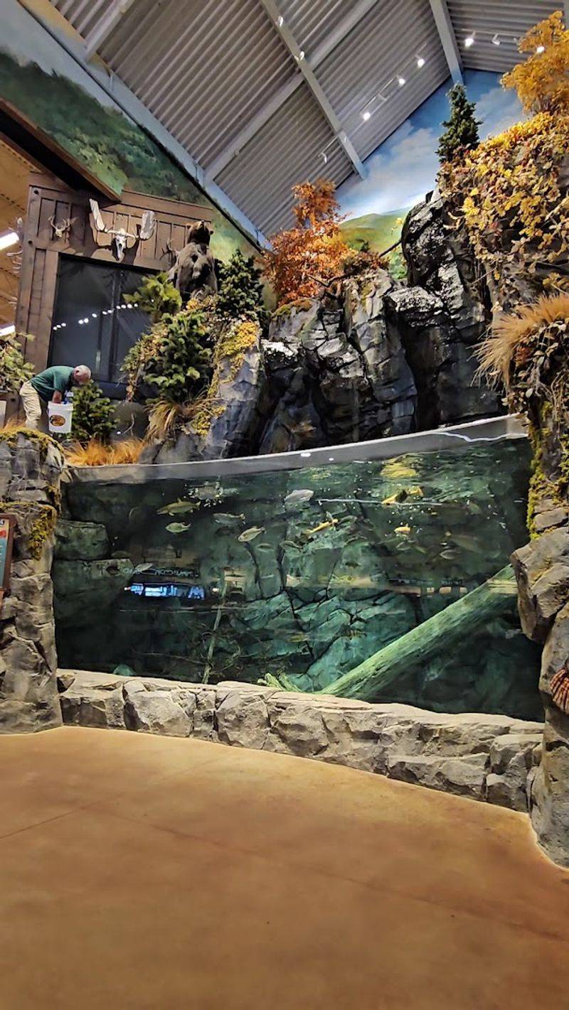 The 13,000-Gallon Freshwater Fish Tank