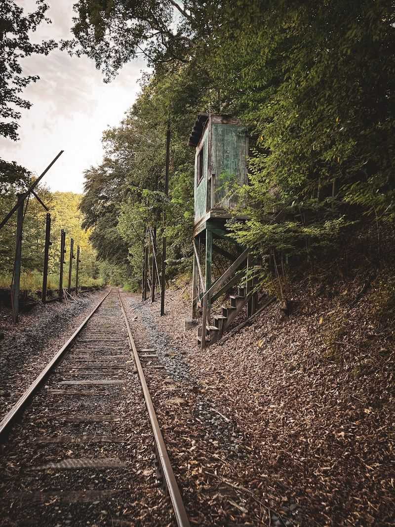 The 1980 Train Wreck Coal Car Remnant