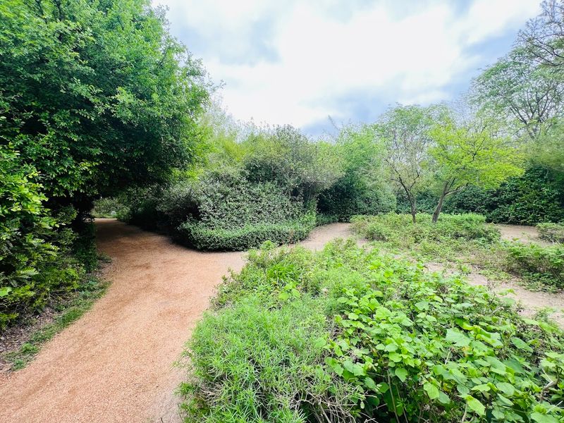 The 2.5 Miles of Walking Trails That Actually Deliver Peace