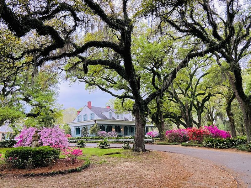 The 200-Year-Old Plantation With a Past That Still Breathes