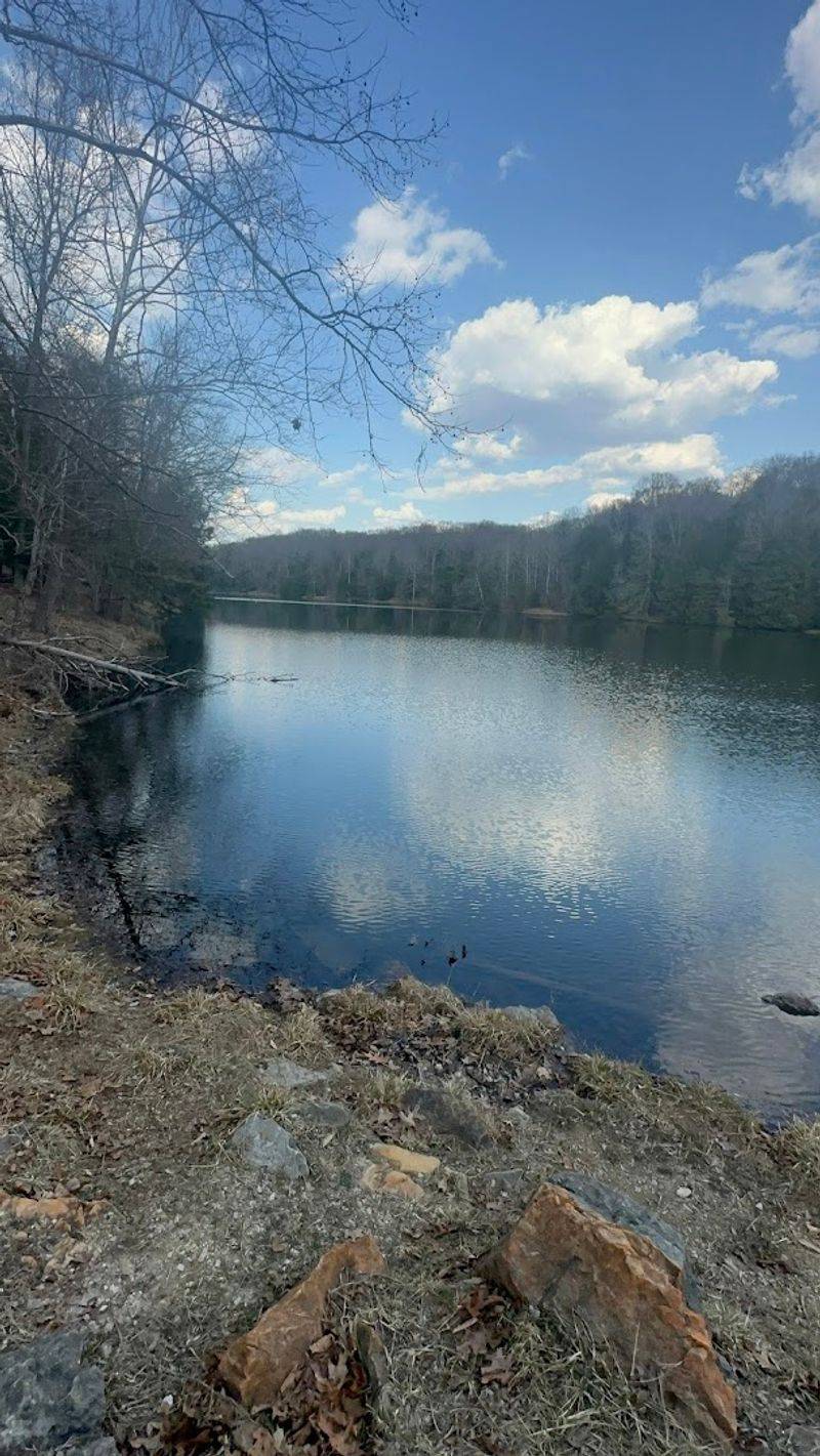 The 2020 Tragedy That Changed How People See the Lake
