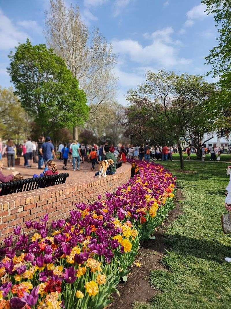 The 91st Annual Festival Coming in May 2026