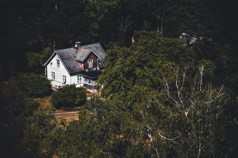 The Abandoned House in the Trees