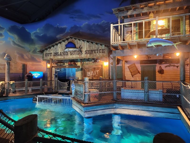 The Alligators and Reptile Exhibits