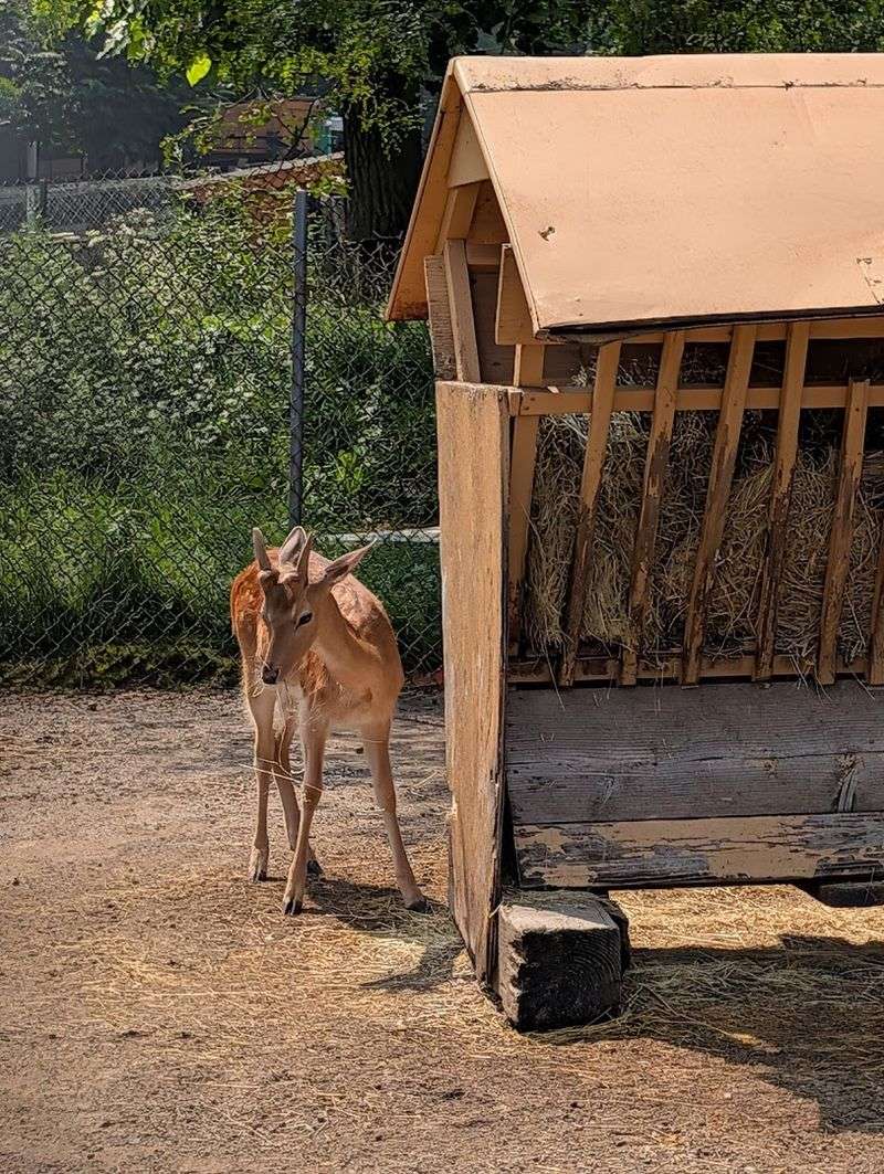 Why Ludlow, Massachusetts Is the Perfect Home for This Zoo