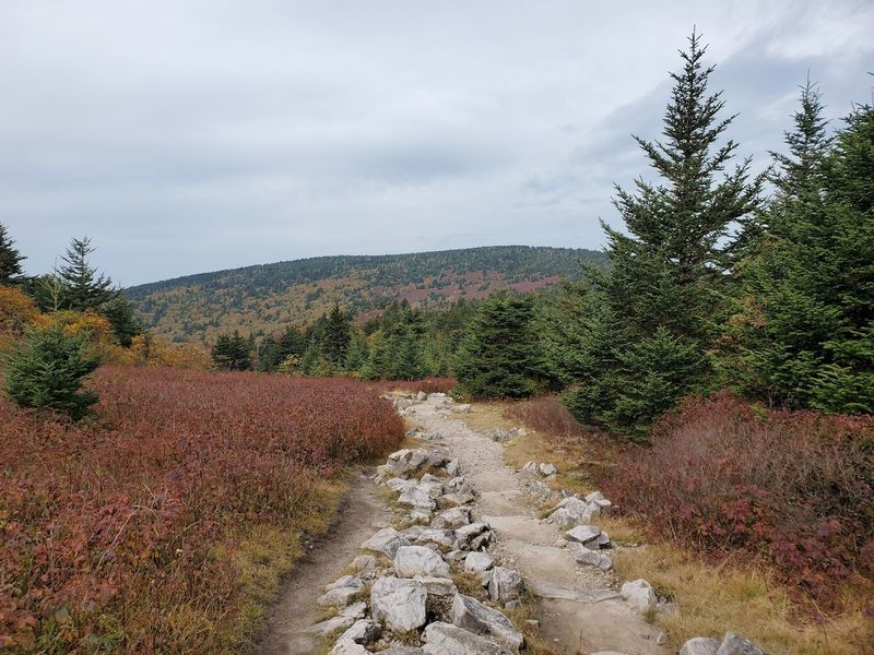 The Appalachian Trail Cuts Right Through the Heart of It