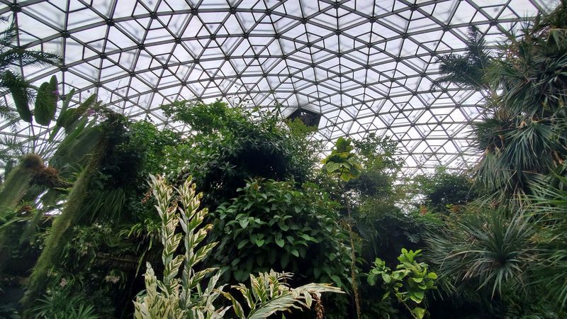 The Architectural Marvel Behind the Glass