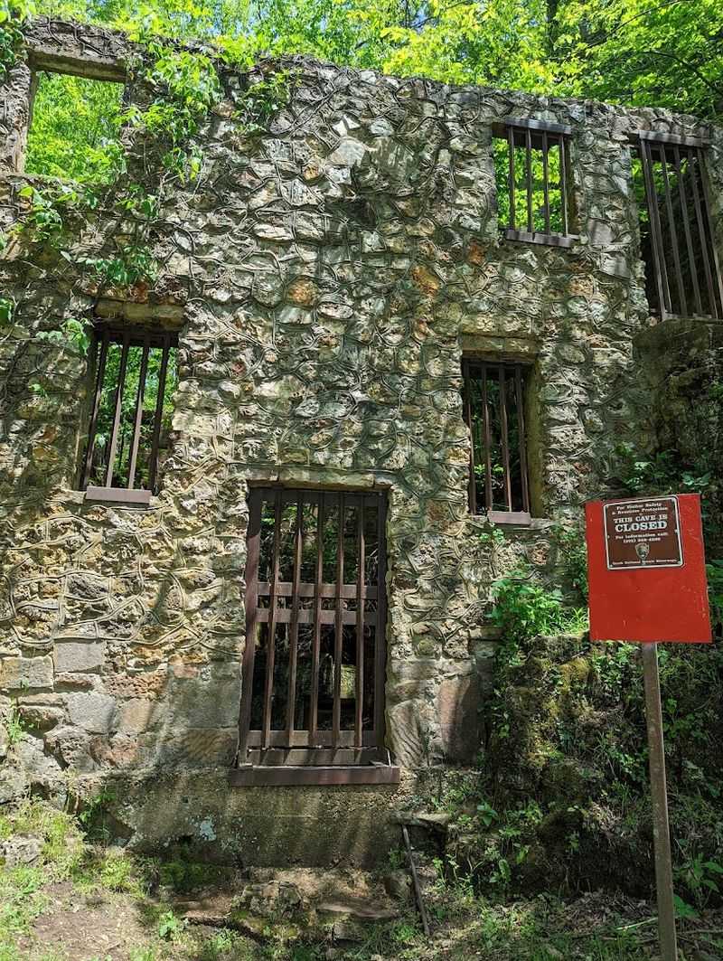 The Architecture Frozen in Time