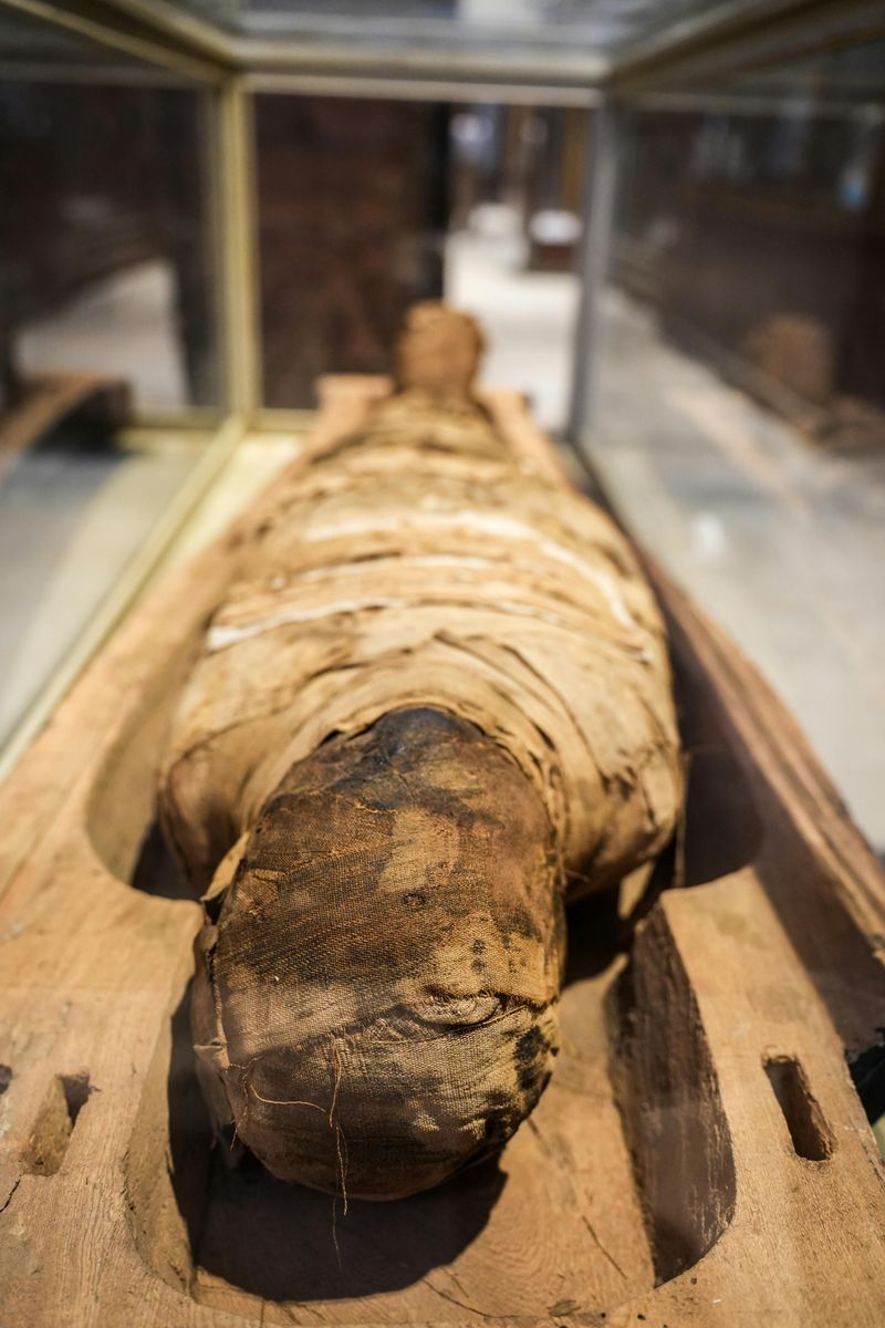 The Arsenic-Embalmed Mummy Display