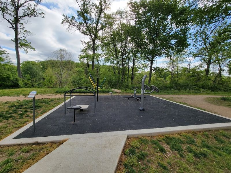 The Asphalt Trail Leading You In
