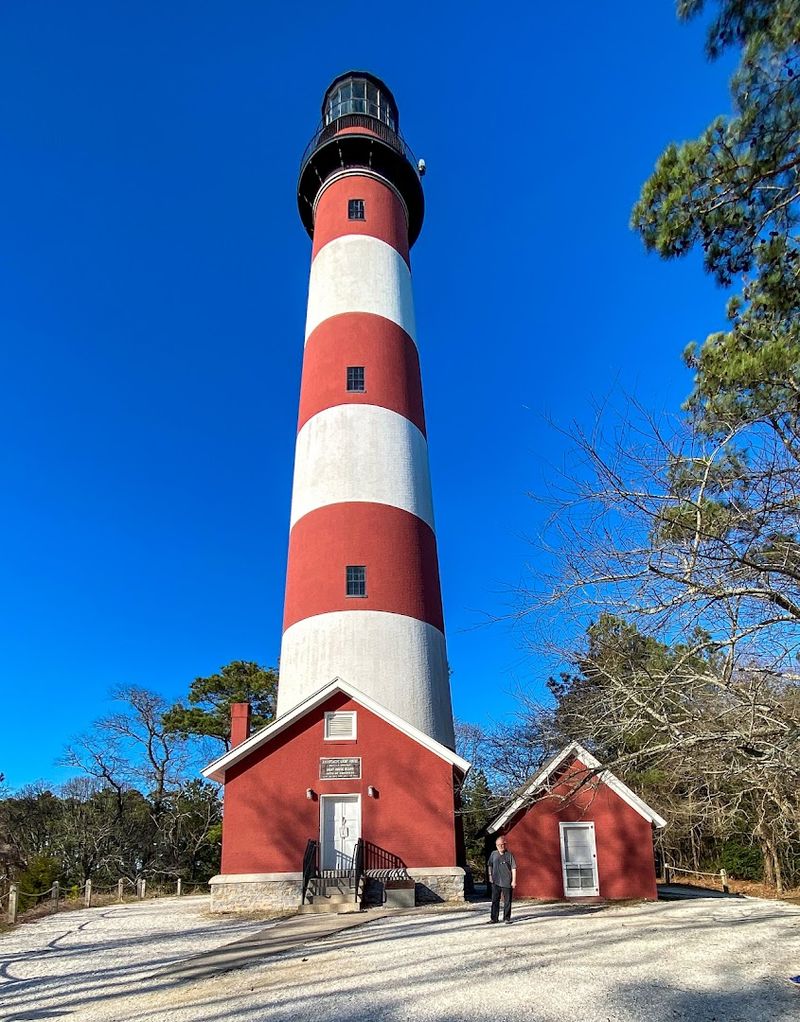 The Assateague Lighthouse and Its Surrounding Trails The Assateague Lighthouse and Its Surrounding Trails