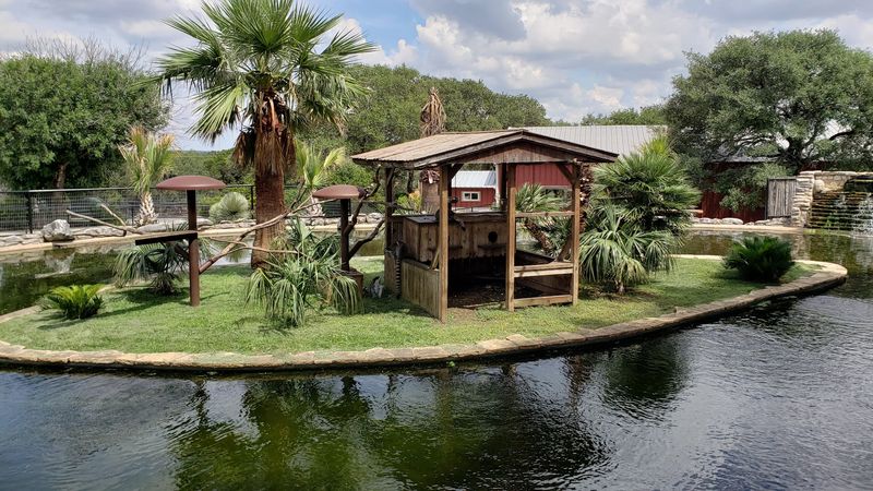 The Aviary Experience and Feeding the Birds