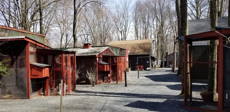 The Aviary Trail: A Free Self-Guided Walk Worth Every Step