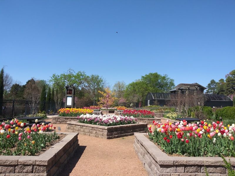 The Azalea Festival Connection Worth Knowing About The Azalea Festival Connection Worth Knowing About