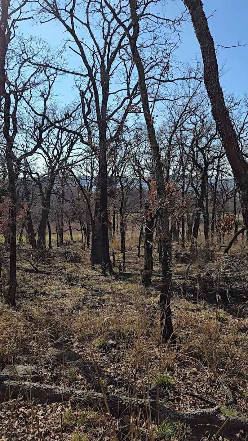 The Backcountry Feel Less Than an Hour from Dallas