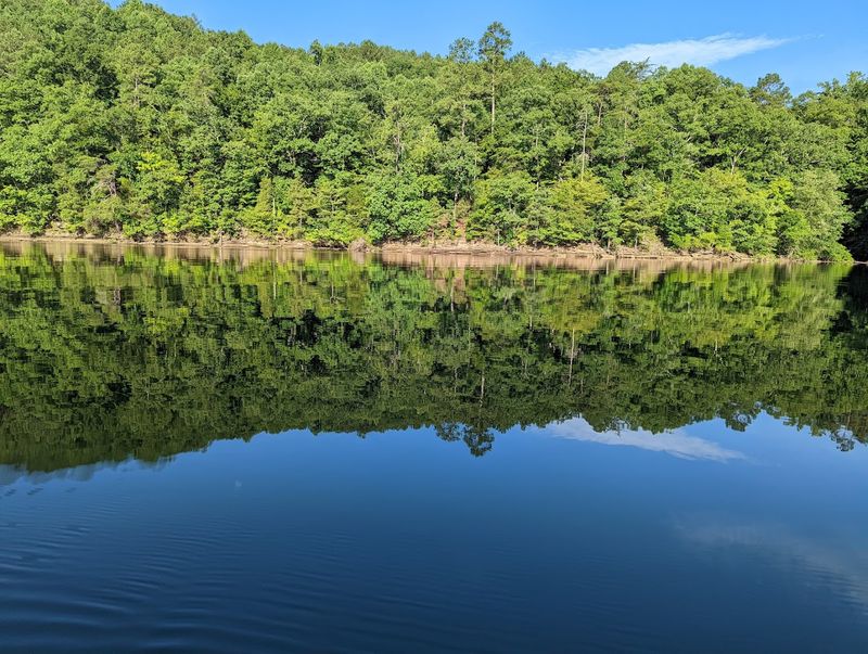 The Bankhead National Forest Right at the Water's Edge