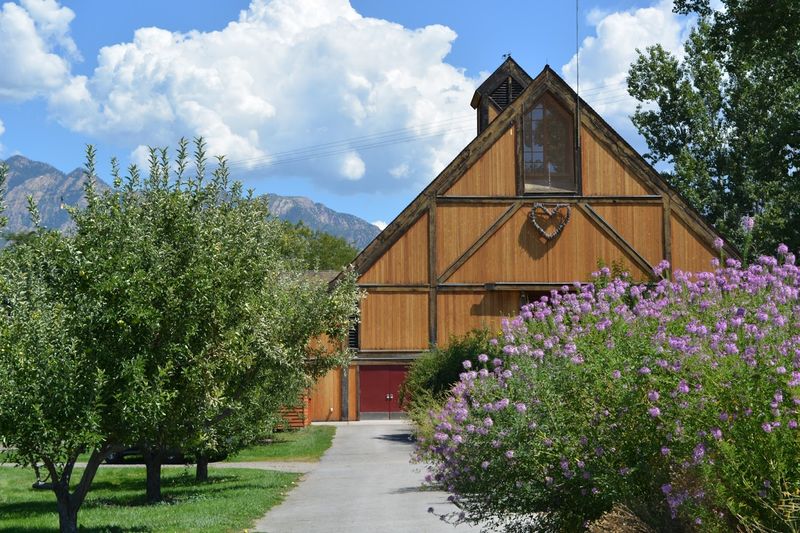 The Barns Make Everything Feel Extra Cozy