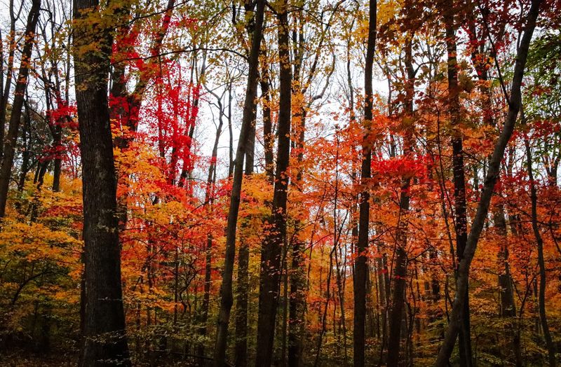 The Best Seasons to Visit and What Each One Offers