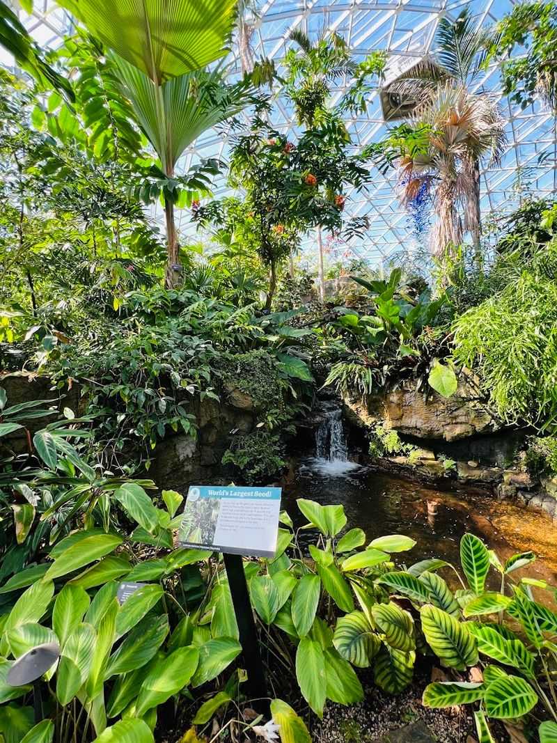 The Best Time of Year to Plan Your Visit