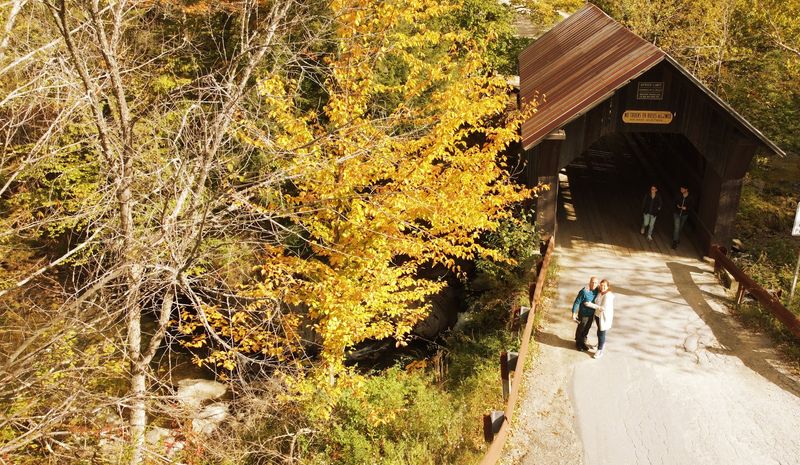 The Best Time to Visit and What to Expect