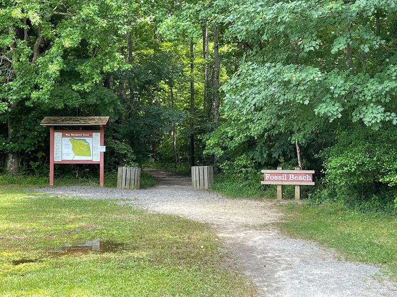 The Big Meadow Trail Hike Down to the Riverbank