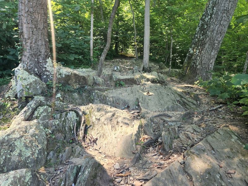 The Blazed Trail System That Keeps Things Interesting