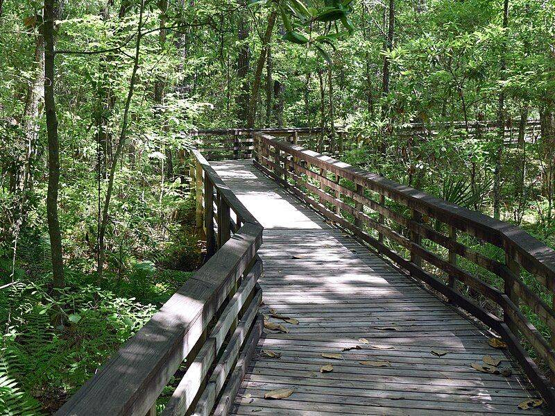 The Boardwalk Experience That Feels Like Walking on Water