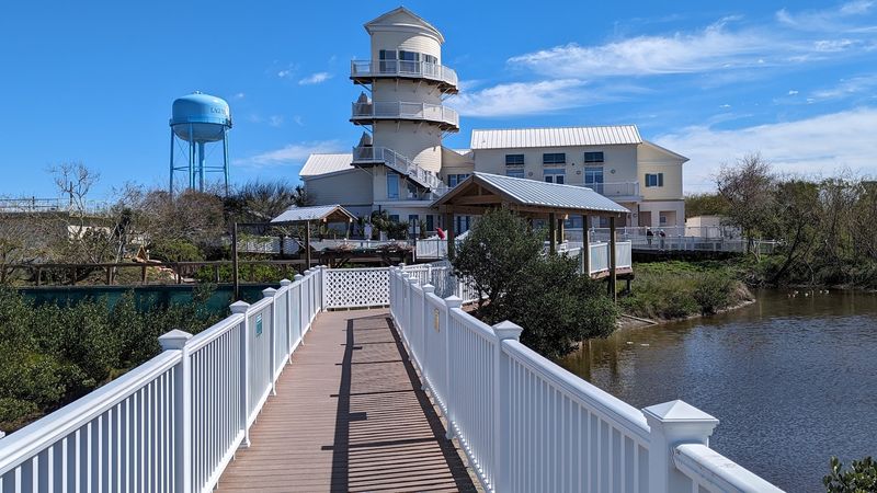 The Boardwalk System That Changes How You See a Wetland