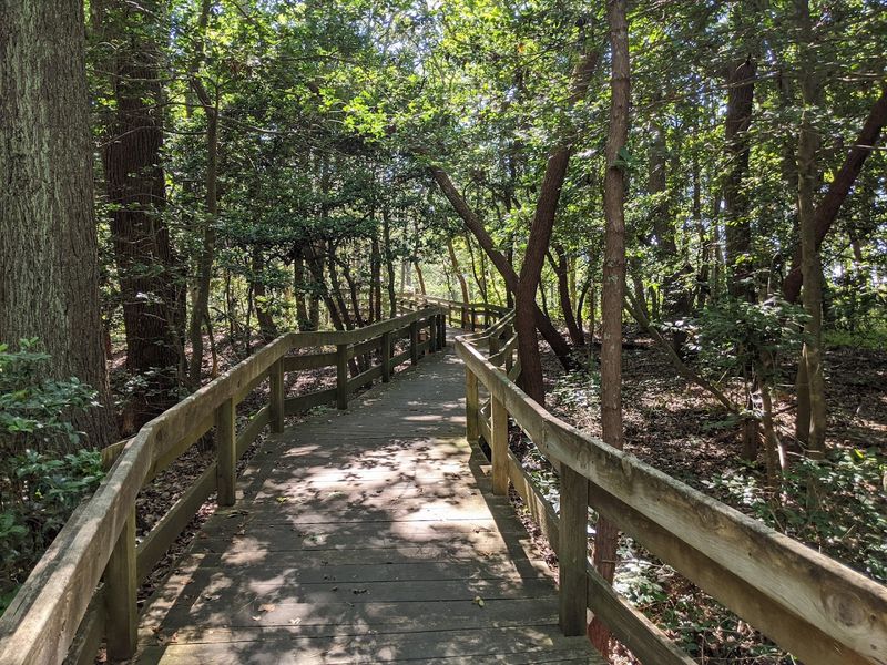 The Boardwalk That Actually Goes Somewhere Worth Walking