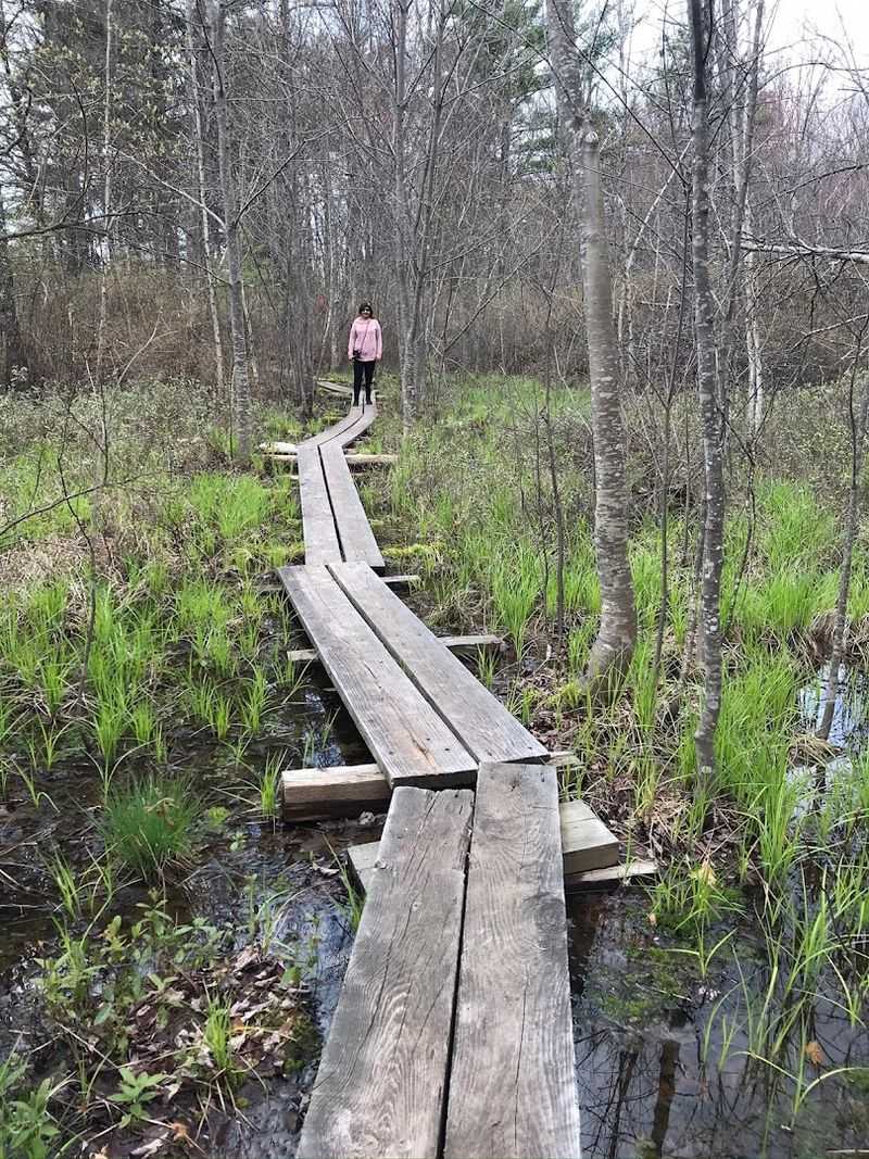 The Boardwalk That Keeps You Honest
