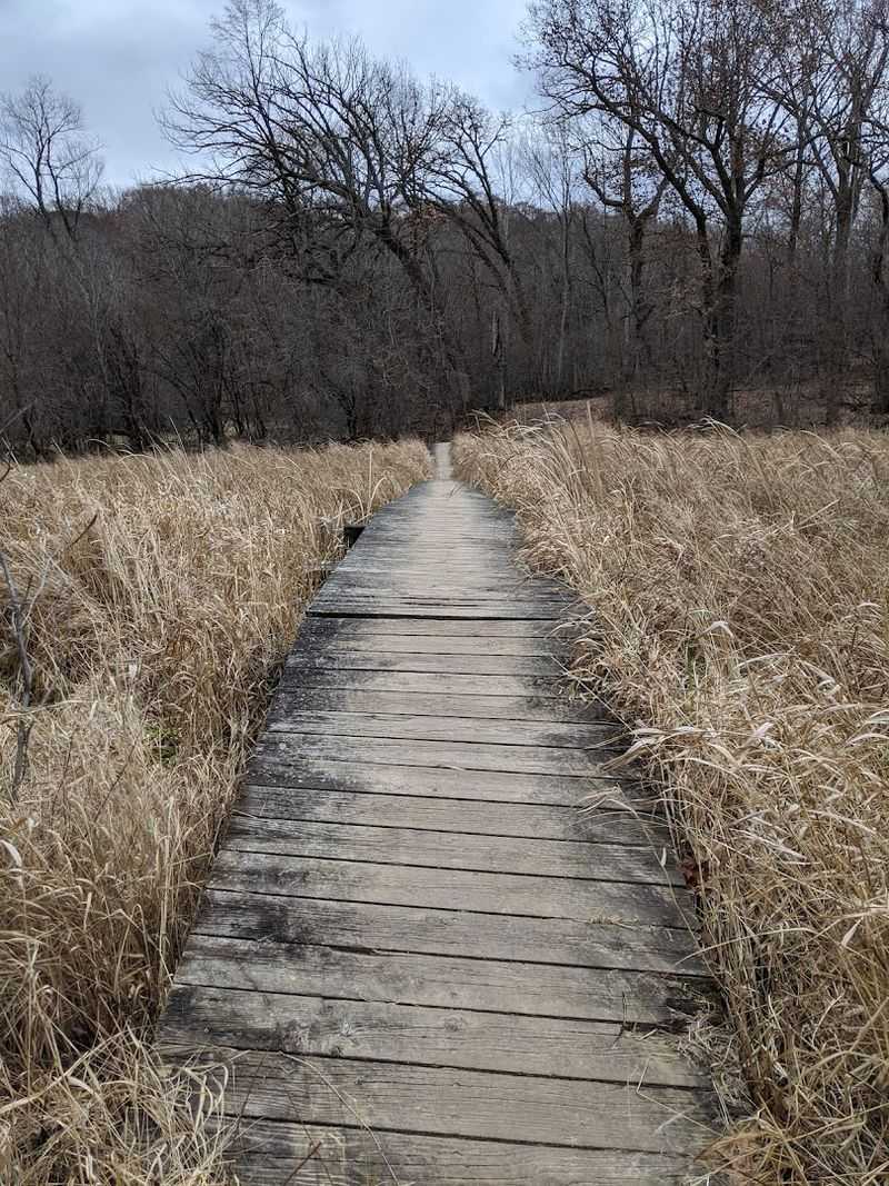 The Boardwalk That Started It All
