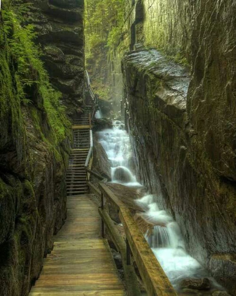 The Boardwalks Suspended Above Flume Brook The Boardwalks Suspended Above Flume Brook