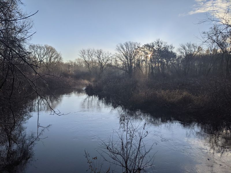 The Bridgewater Triangle, Why This Forest Is Already Infamous