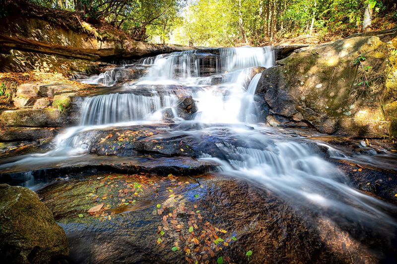 Planning Your Trip to Tuxedo Falls for the Firefly Season