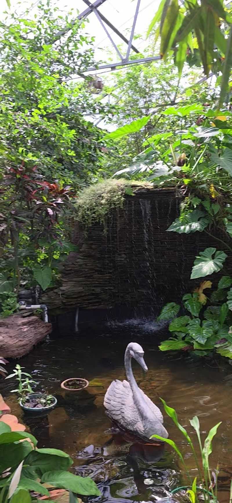 The Butterfly Garden and Monarch Waystation, a Living, Moving Ecosystem