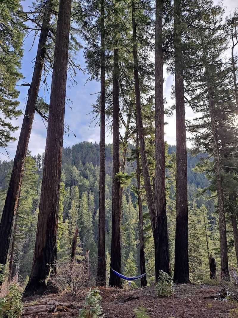 The CCC and What They Left Behind on Boulder Creek Trail