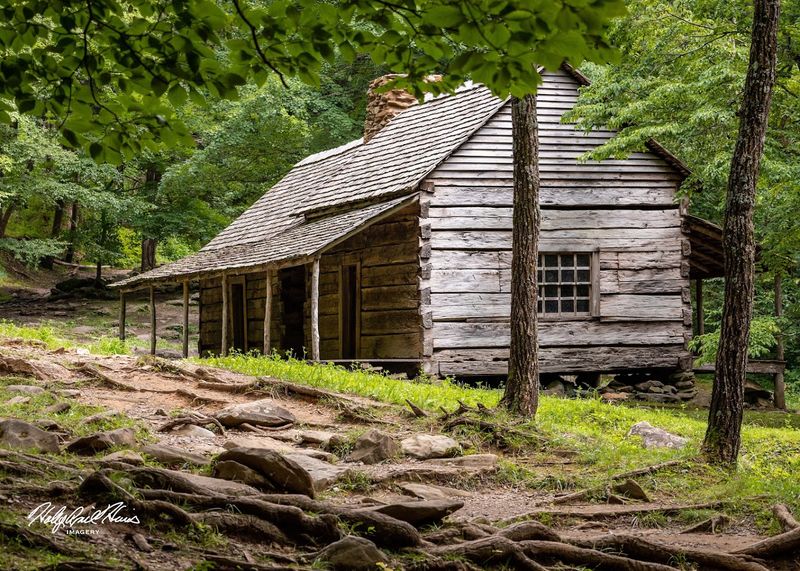 The Cabin That Time Forgot to Leave