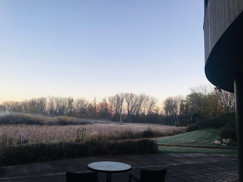 The Cafe: A Spot to Sit, Eat, and Exhale
