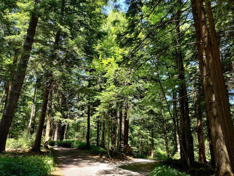The Canyon Trail, Maryland's Most Rewarding Short Loop The Canyon Trail, Maryland's Most Rewarding Short Loop