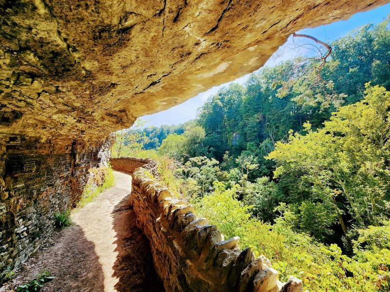 The Canyon Walls Reach Back 425 Million Years