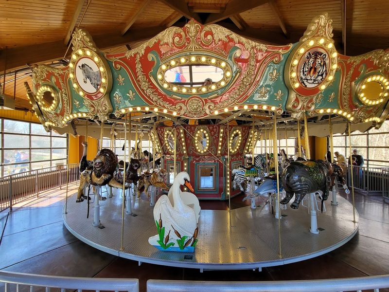 The Carousel and Tram Make It a Full Family Day Out