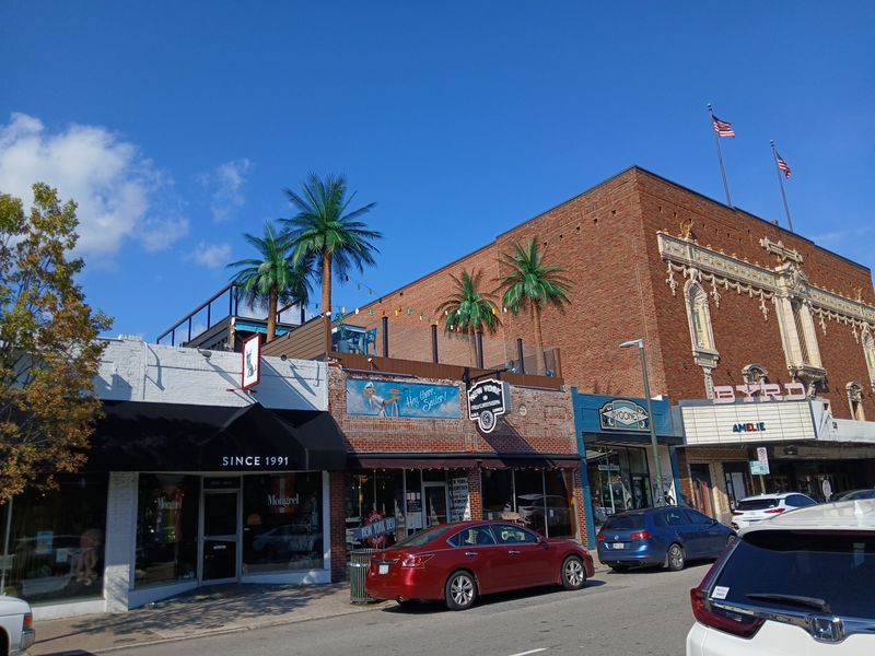 The Carytown Neighborhood Setting