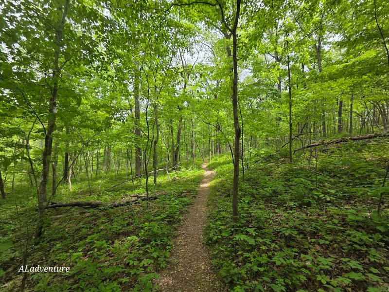 The Cave Spring Trail Extends the Adventure for Miles