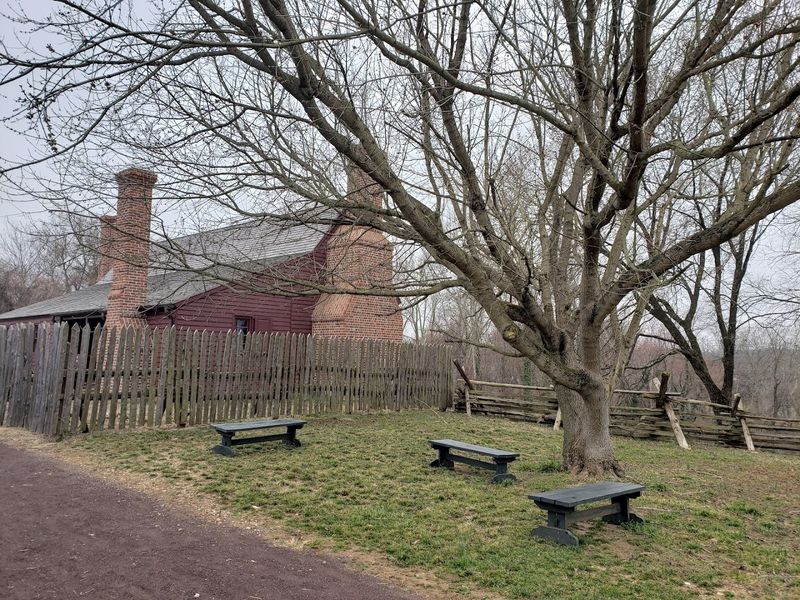The Cherry Tree Legend and What Archaeology Actually Found