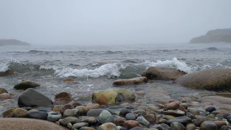 The Cobblestone Sound That Stops You Cold
