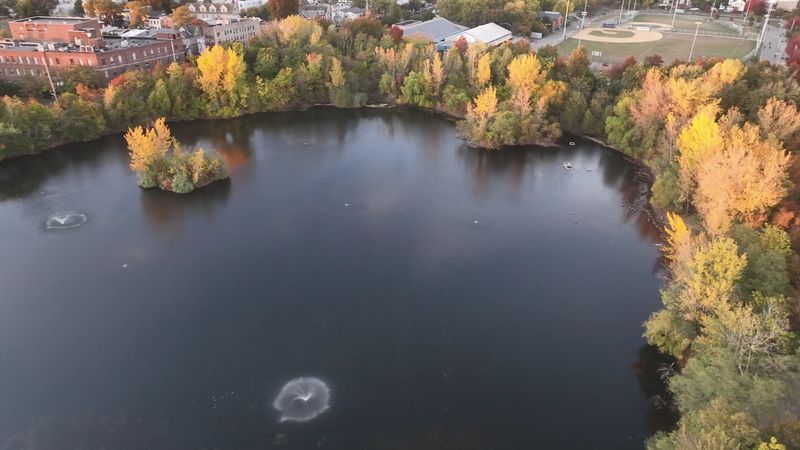 The Community Alliance That Refused to Let It Disappear