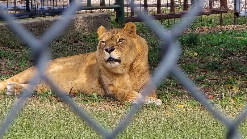 The Conservation Mission Behind Every Habitat