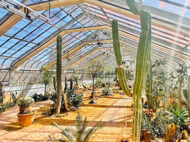 The Conservatory Brings Tropical and Desert Worlds Under One Roof