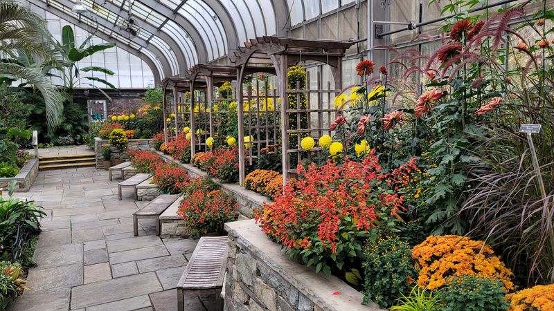 The Conservatory Pulls You In Fast