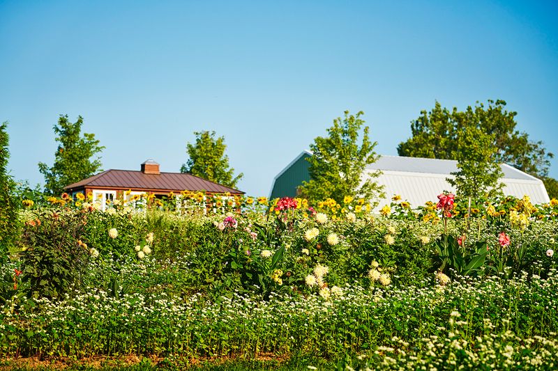 The Cooking School at Ninety Acres